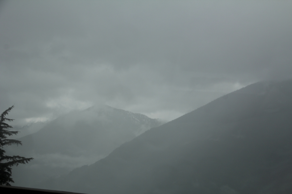 Late Afternoon Fog South of Whistler, BC